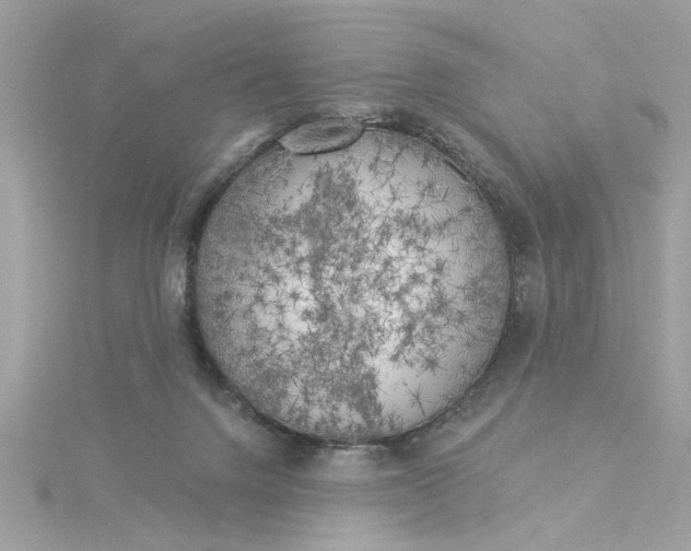 X0000116030072200912041943