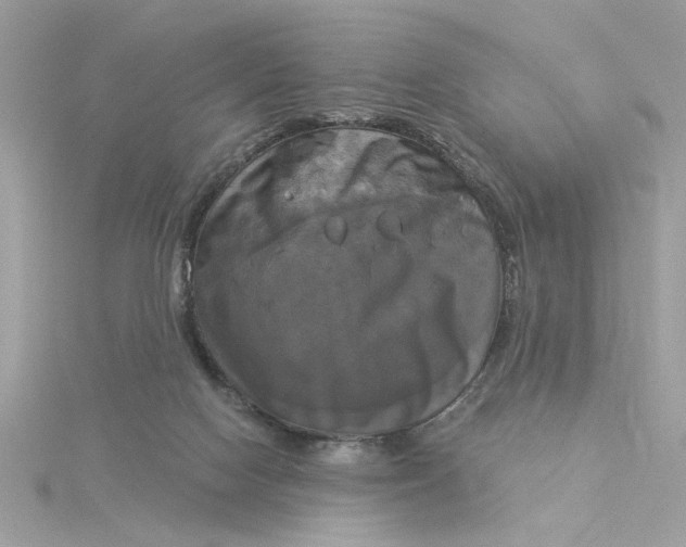 X0000116030074200912041943