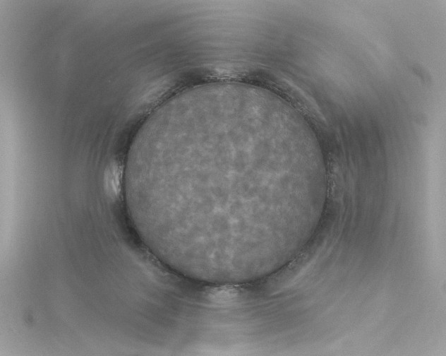 X0000116030075200912041943