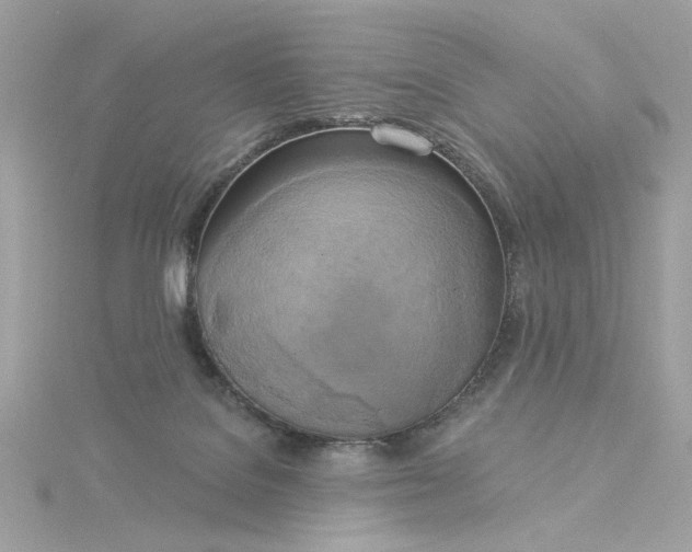 X0000116030076200912041943