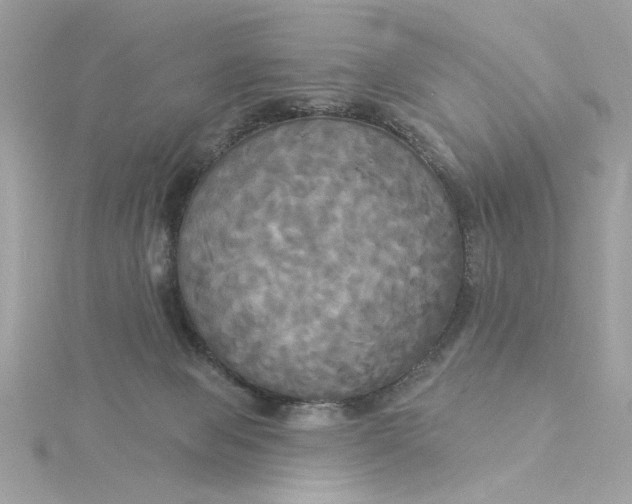 X0000116030077200912041943