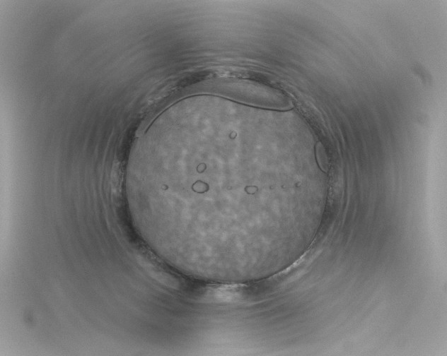 X0000116030078200912041943