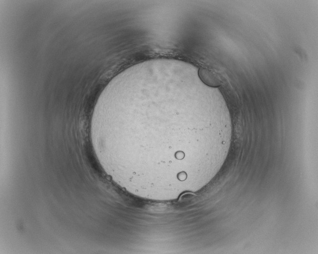 X0000116030079200912041943