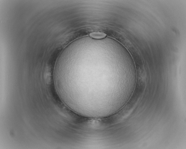 X0000116030080200912041943