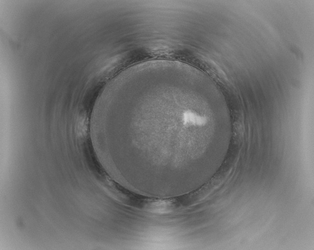 X0000116030081200912041943