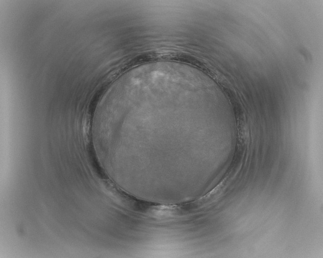 X0000116030082200912041943