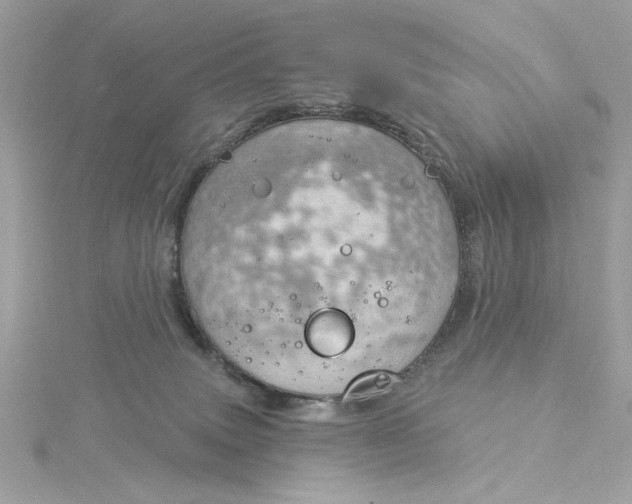 X0000116030083200912041943