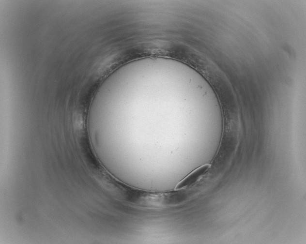 X0000116030084200912041943