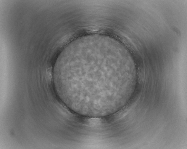 X0000116030085200912041943