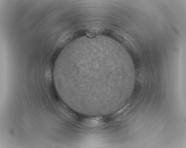 X0000116030086200912041943