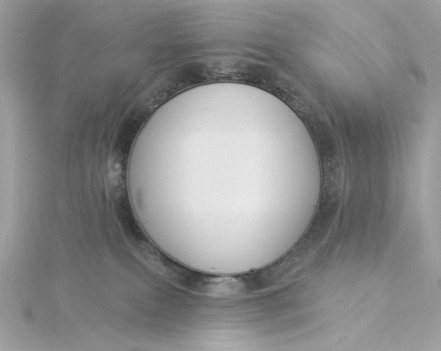 X0000116030087200912041943