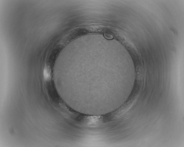 X0000116030089200912041944