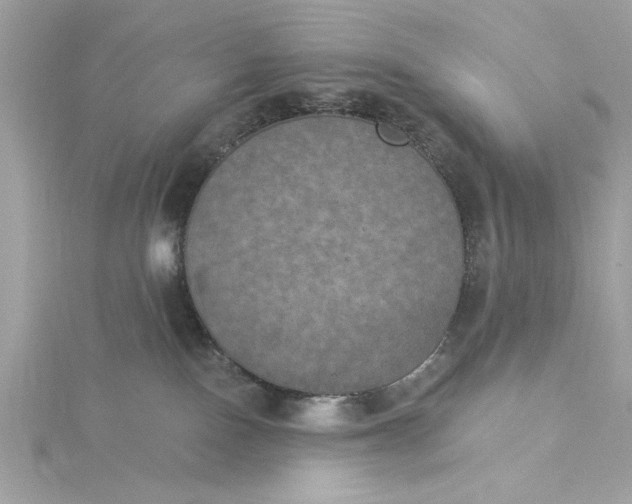 X0000116030090200912041944