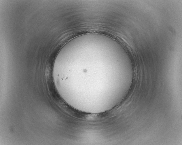 X0000116030092200912041944