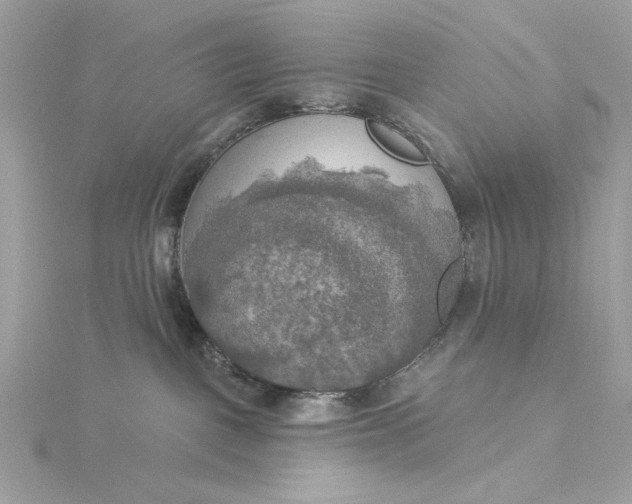 X0000116030093200912041944