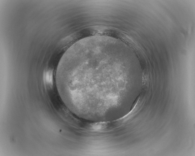 X0000116030094200912041944