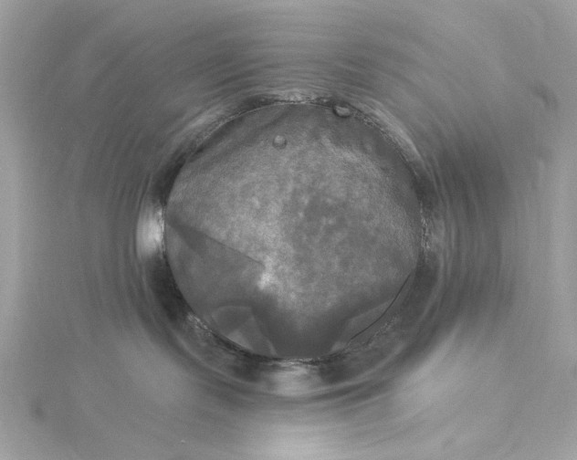 X0000116030095200912041944