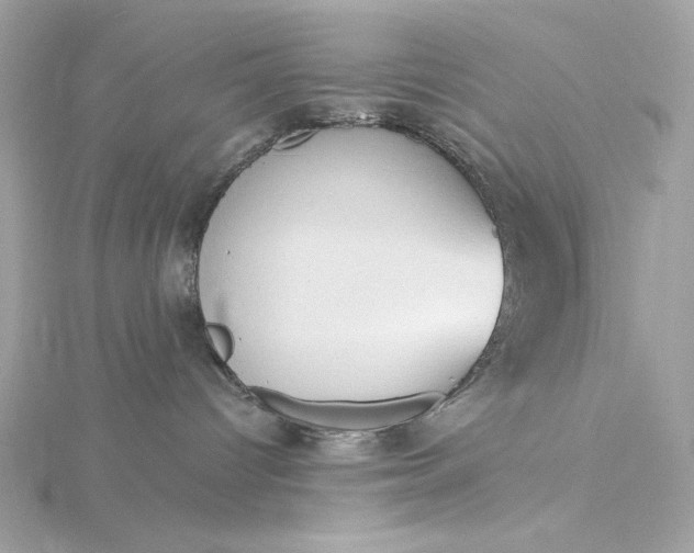 X0000116030096200912041944