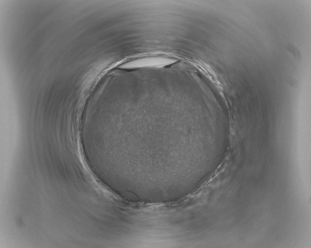 X0000116030097200912041943