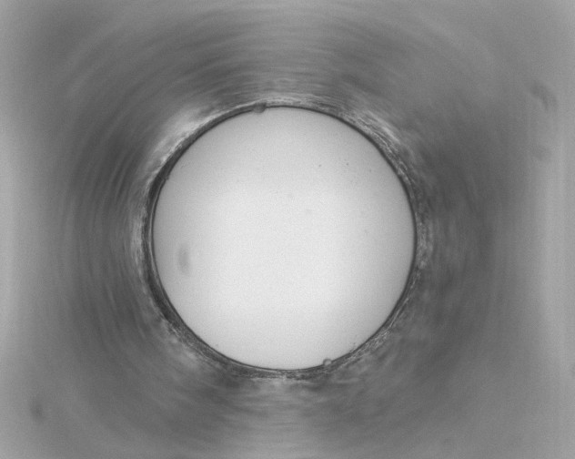 X0000116030098200912041943