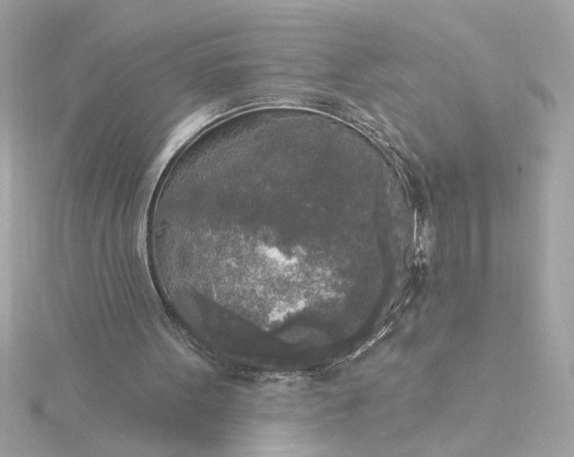 X0000116030099200912041943