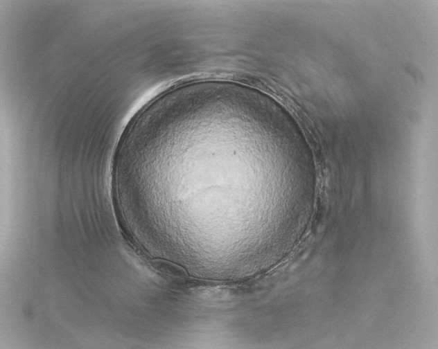 X0000116030100200912041943