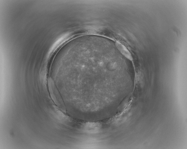 X0000116030101200912041943