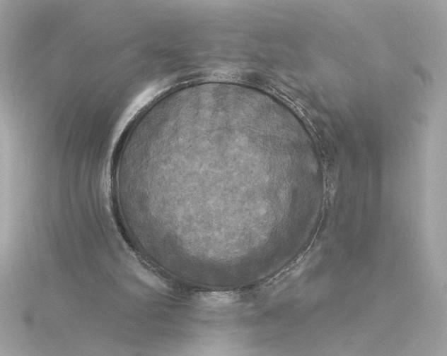 X0000116030102200912041943