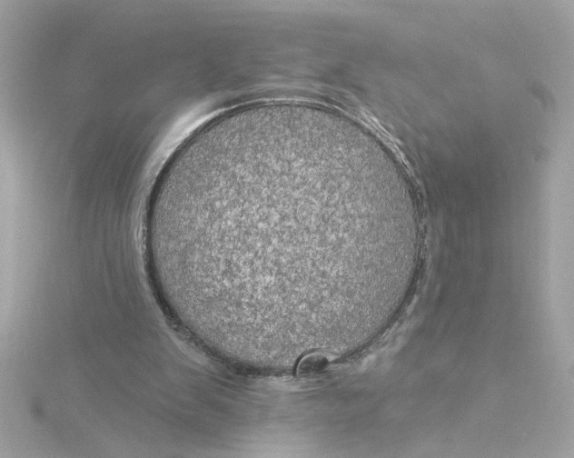 X0000116030103200912041943