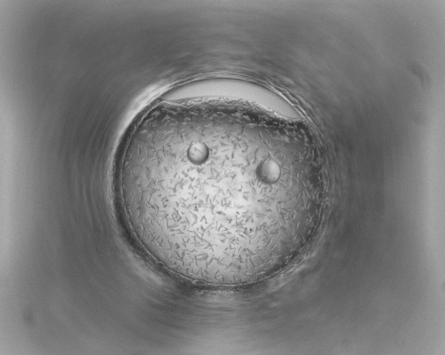 X0000116030104200912041943