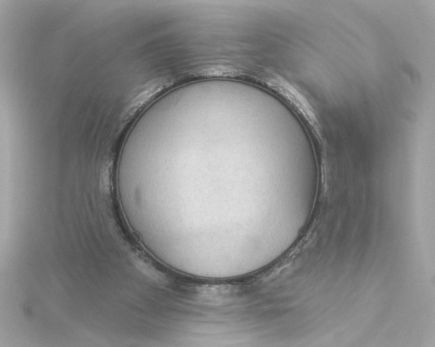 X0000116030105200912041943