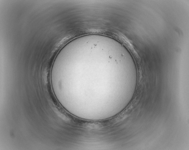 X0000116030106200912041943