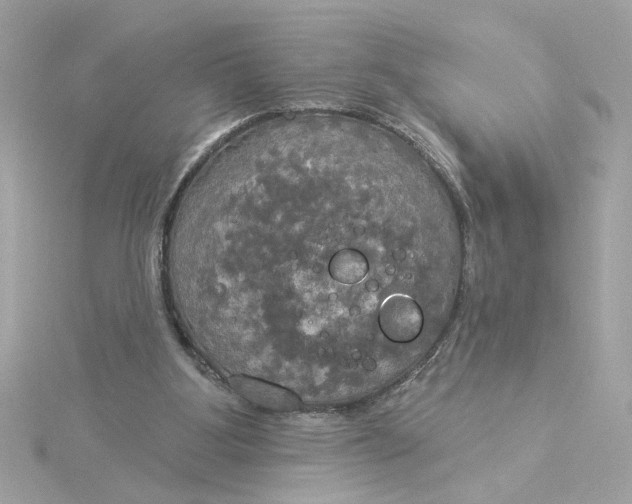 X0000116030107200912041943