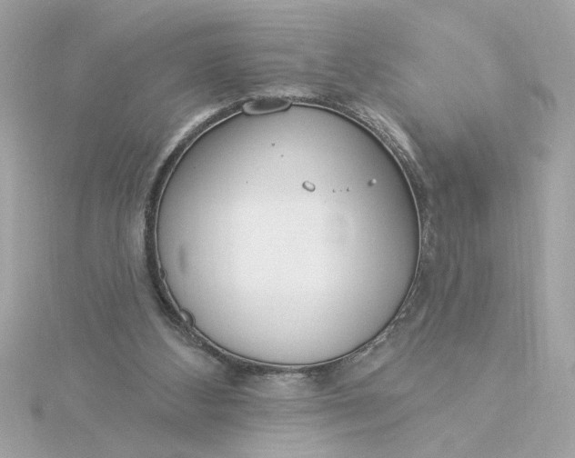 X0000116030108200912041943