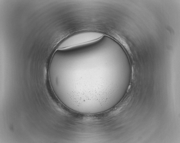 X0000116030109200912041943