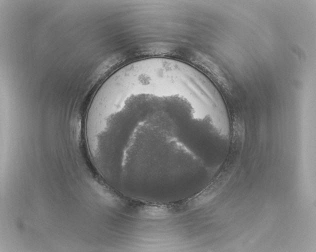 X0000116030110200912041943