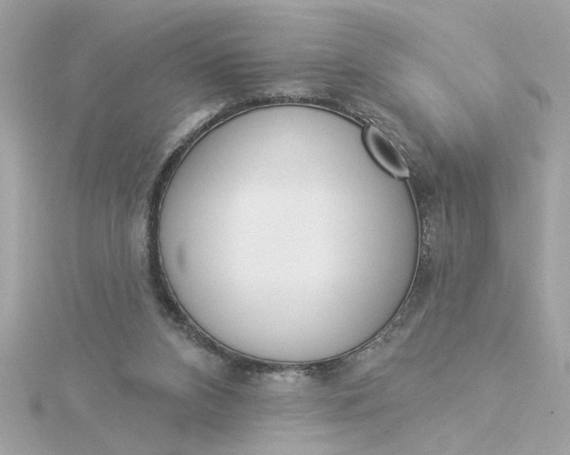 X0000116030112200912041943