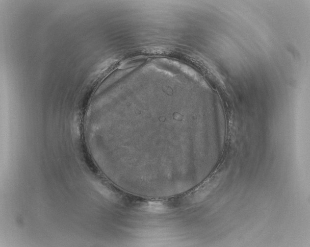 X0000116030114200912041943