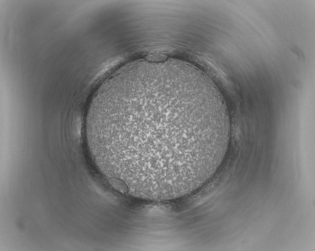 X0000116030115200912041943