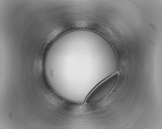 X0000116030116200912041943