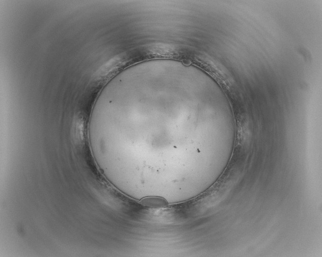 X0000116030117200912041943