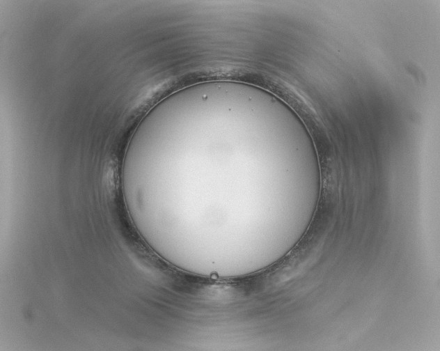 X0000116030119200912041943