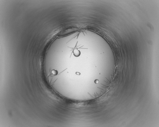 X0000116030120200912041943