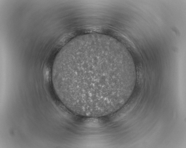 X0000116030123200912041943