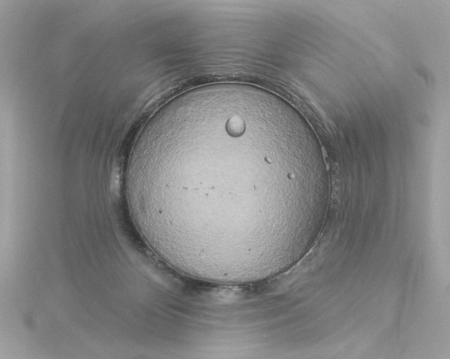 X0000116030124200912041943