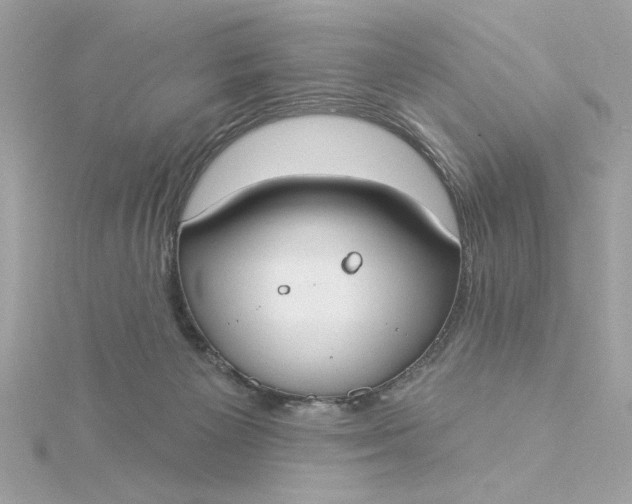 X0000116030125200912041943