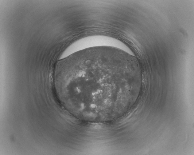 X0000116030127200912041943