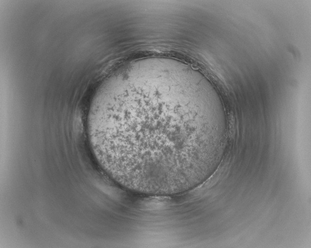 X0000116030128200912041943