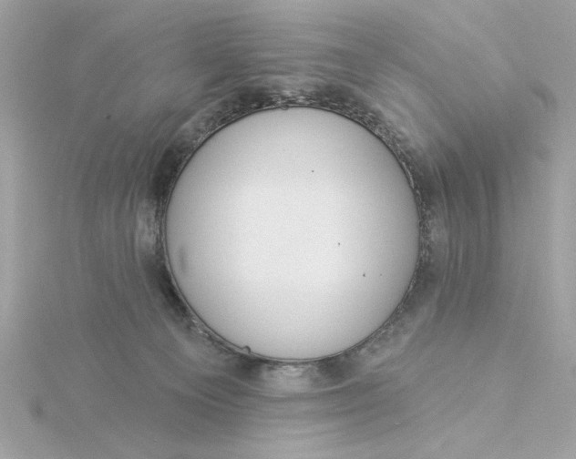 X0000116030129200912041943