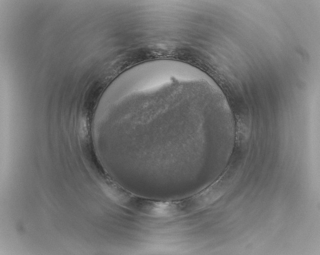 X0000116030130200912041943